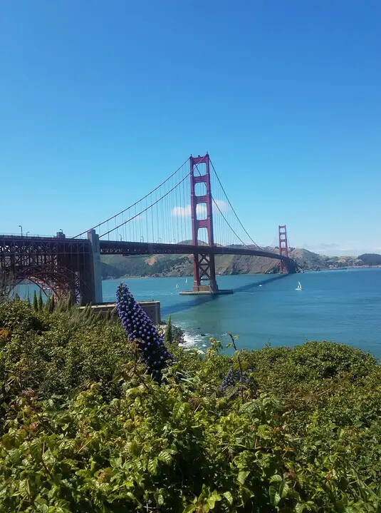 The golden gate bridge