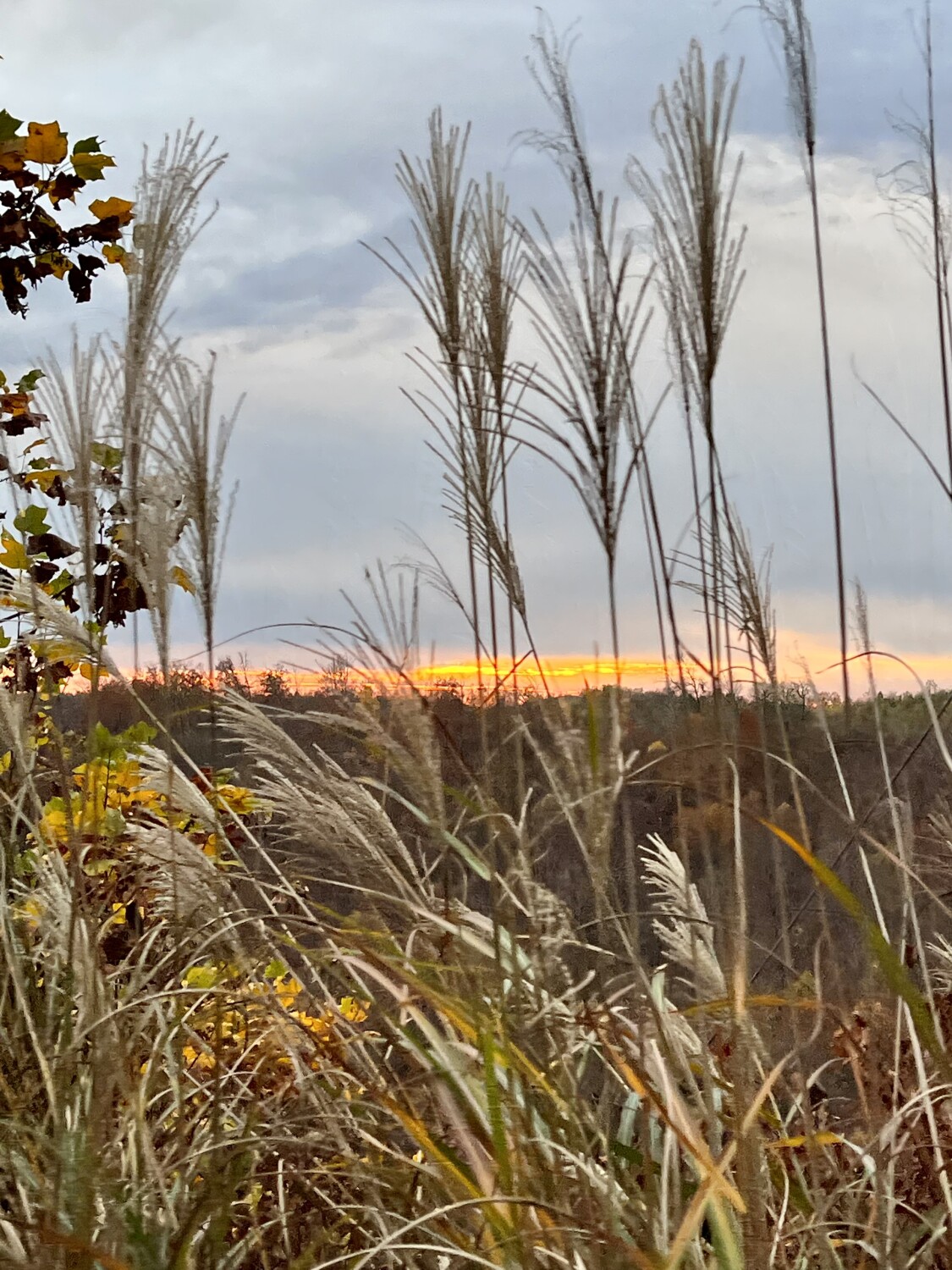 Sunset on Brushy Mountain