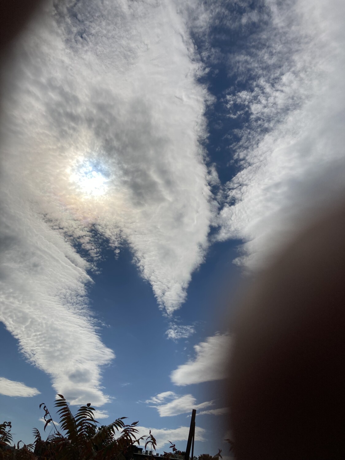 The Heart of an Eagle