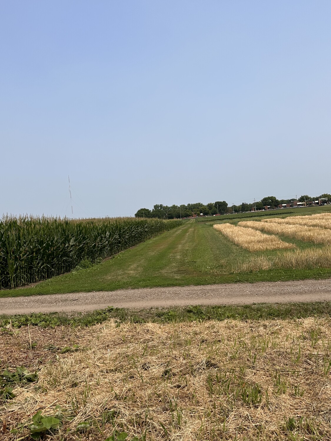 Minnesota farmers land