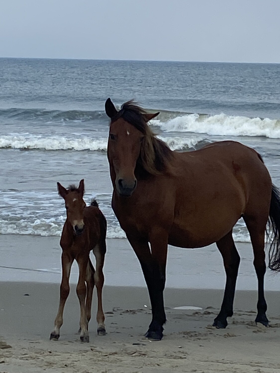 Barefoot on the Banks