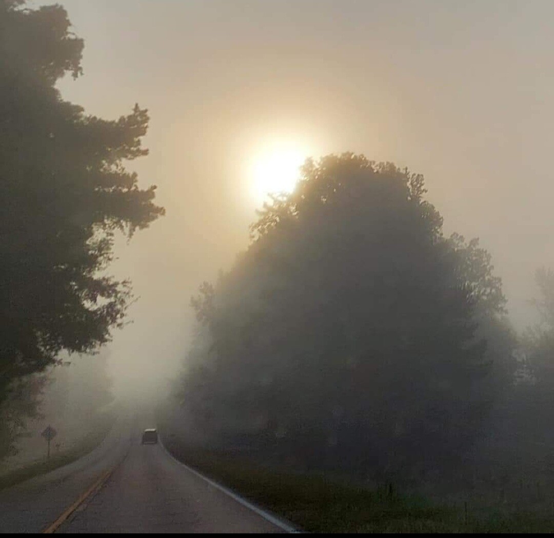 A foggy sunrise