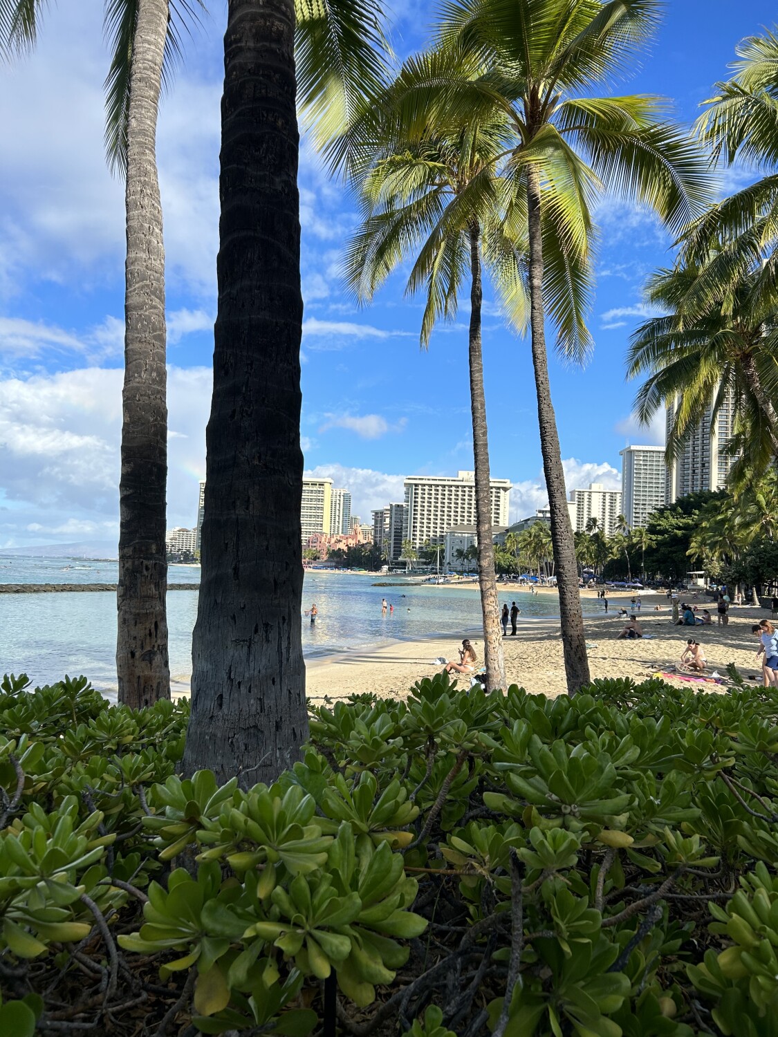 Waikiki Beach