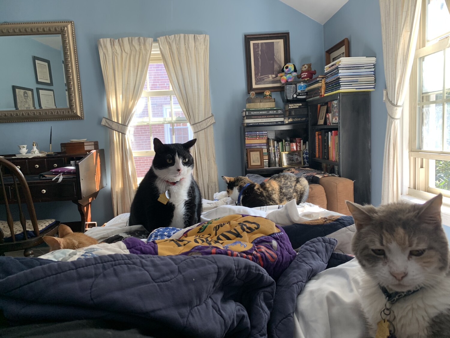 Julius, Brian, Daisy, and Ida