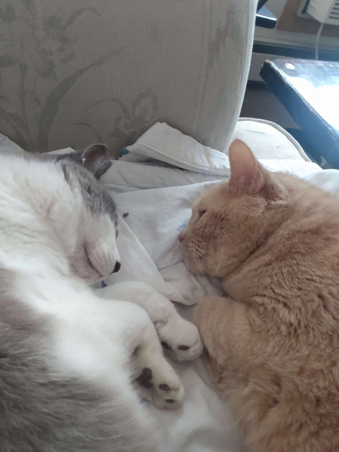 Oscar and Leo because best friends.