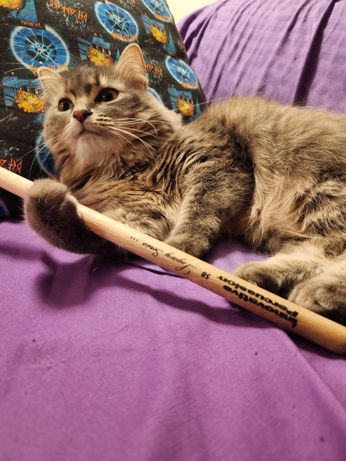 Luna playing the blues