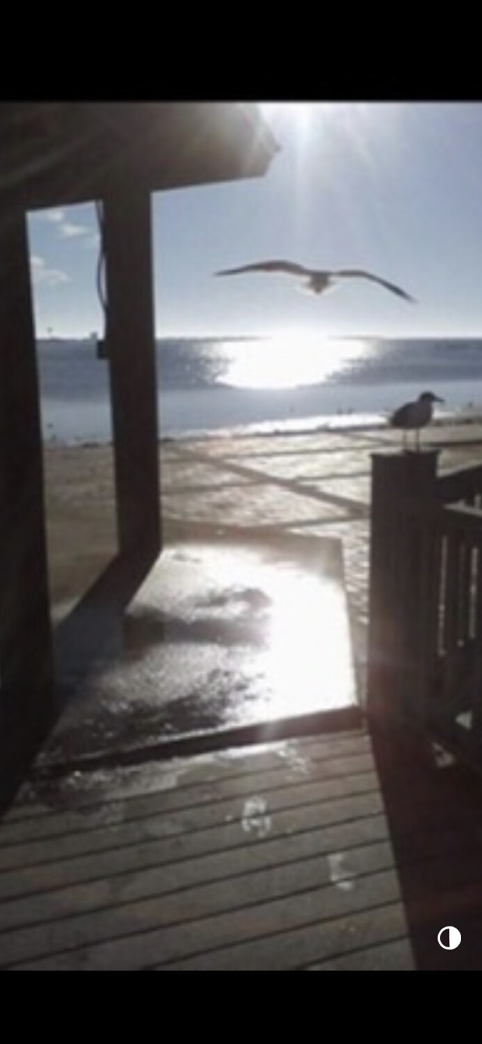 Footprints on the boardwalk