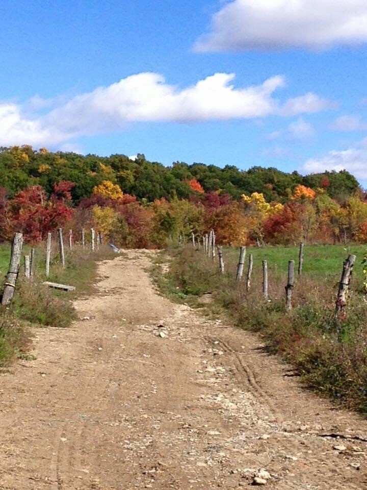 Autumn in NY on the Farm