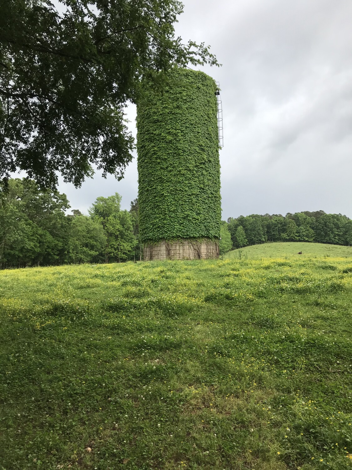 Old grain silo
