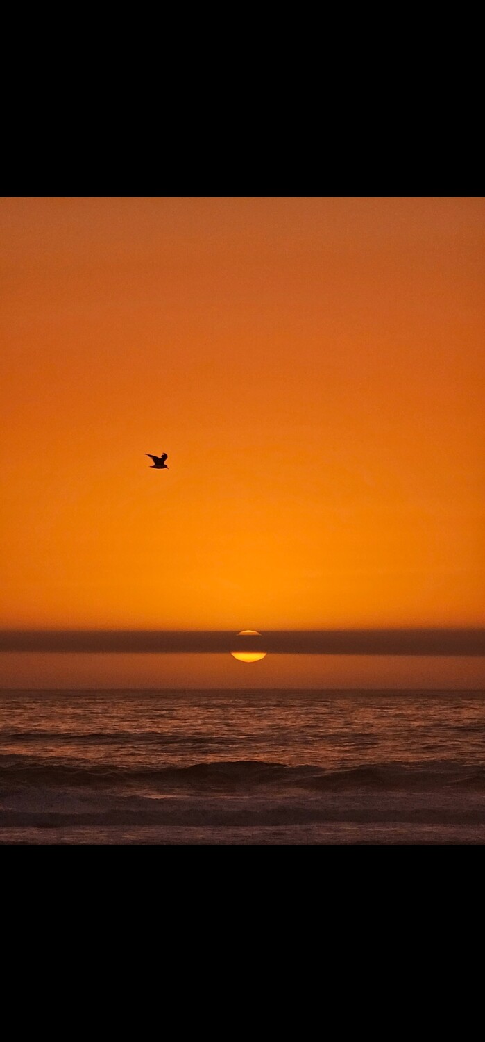 Never-ending horizon