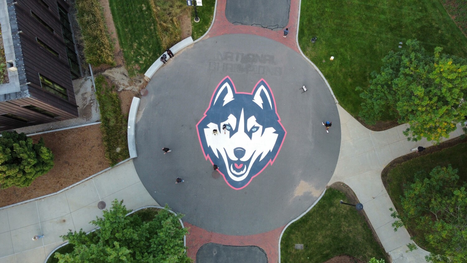 Uconn Huskies