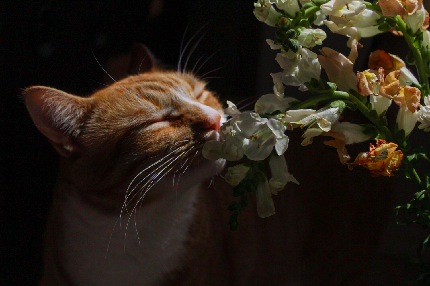 Stop and smell the flowers