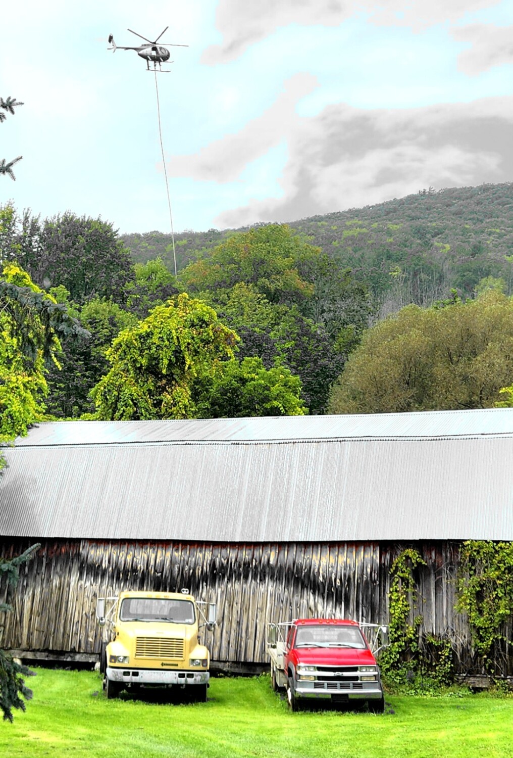Tree Trimming Helicopter