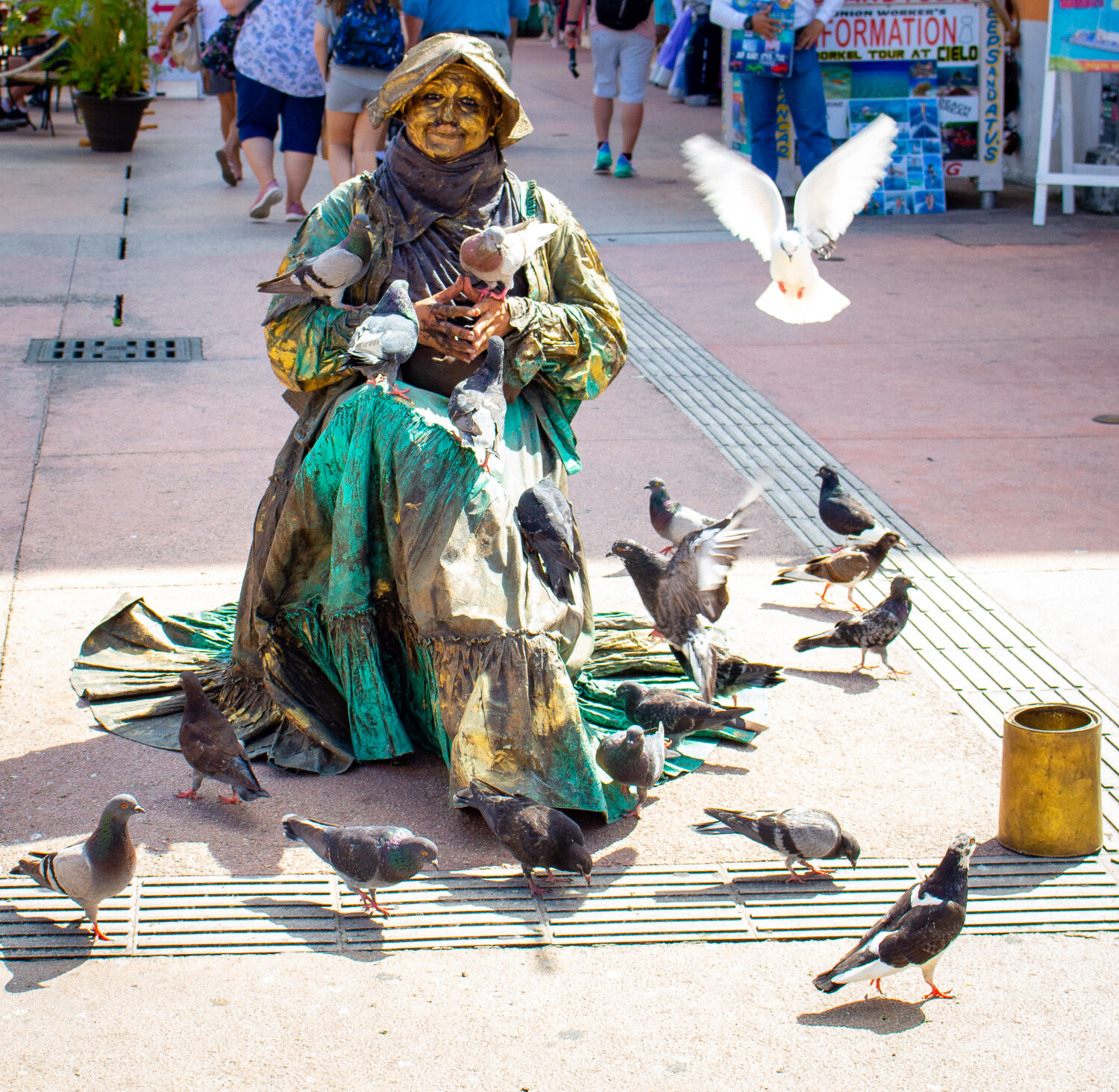 Pigeon Lady of Cozumel