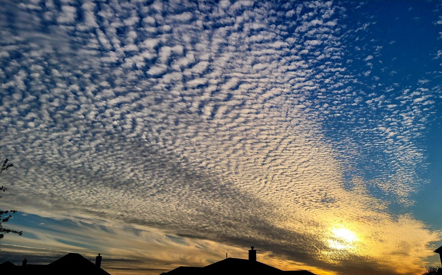 The Yellow Brick Road