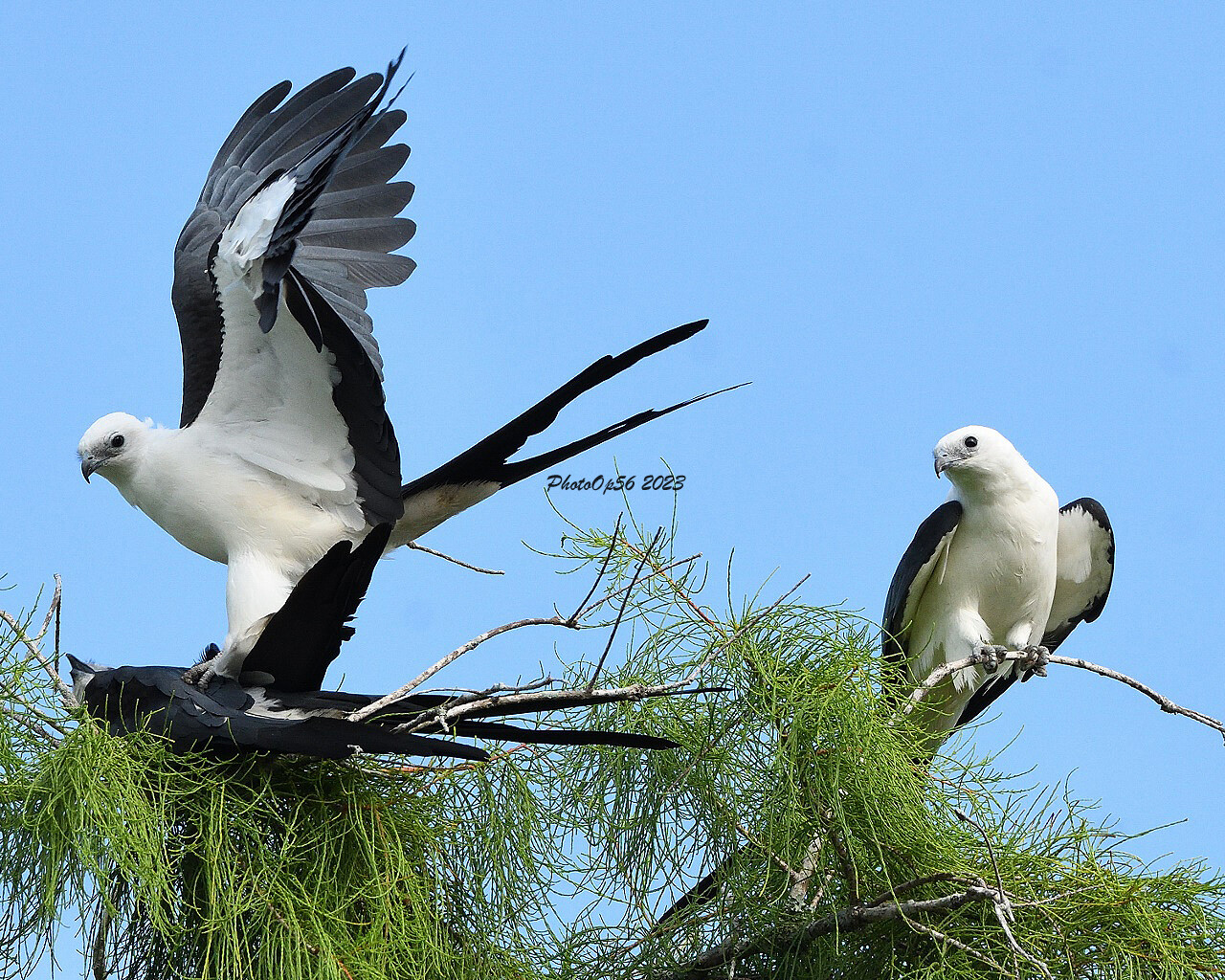 The Beauty of Nature