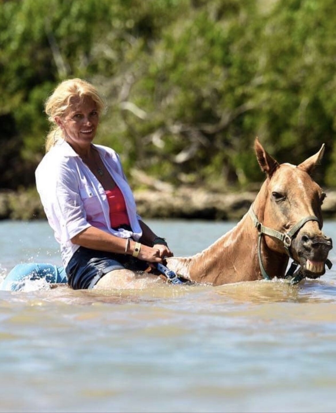 Smiling horse posing for camera 🙂
