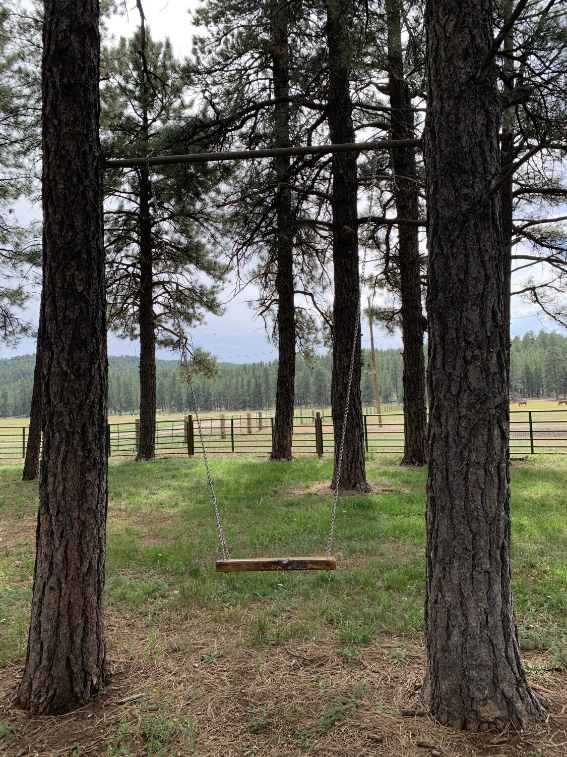 Recuerdos de infancia