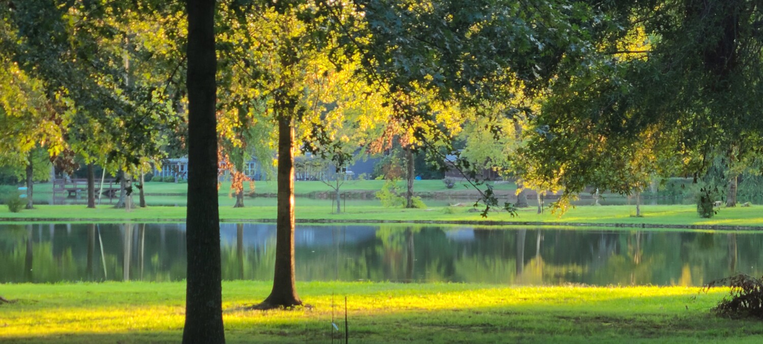 Campbell's lake and farm