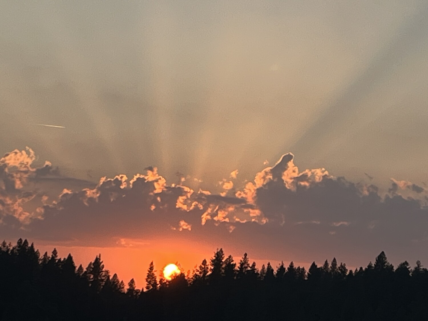 Sunset in the sierra