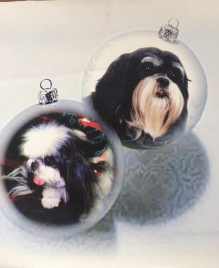 Forever in my heart!