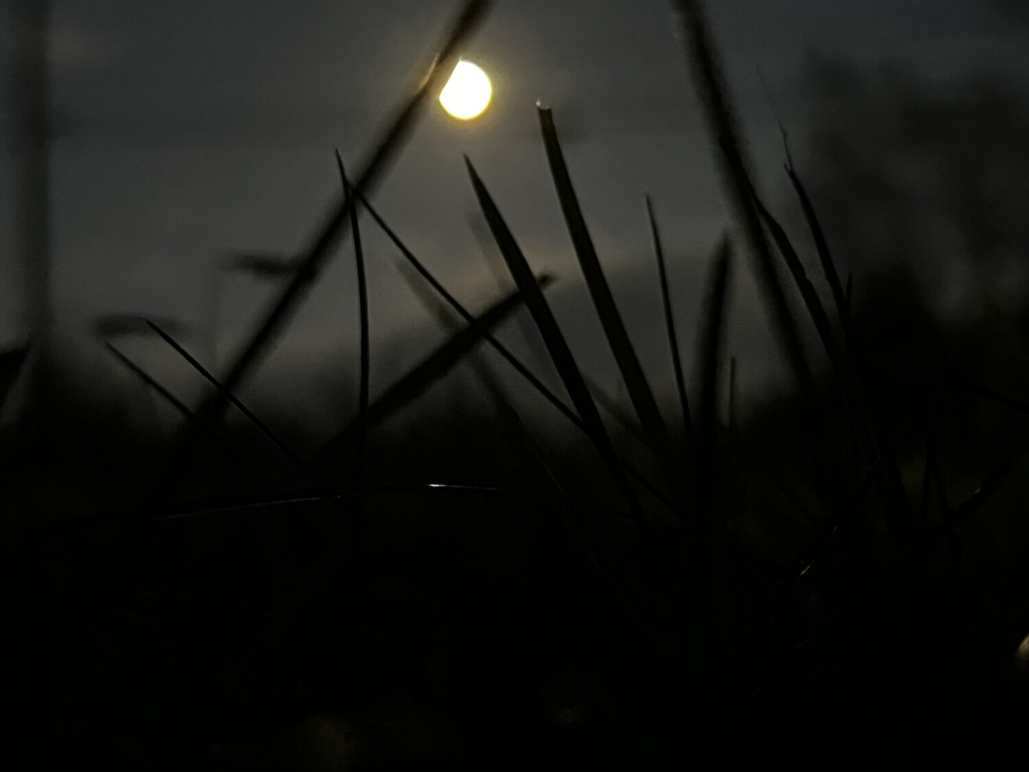 Stillness of the night