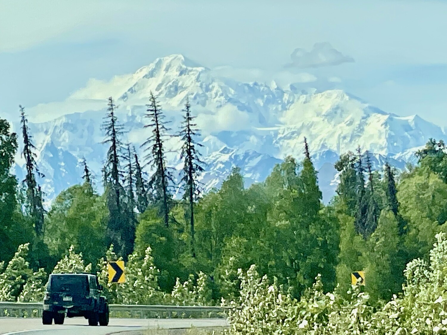 Denali The Great one