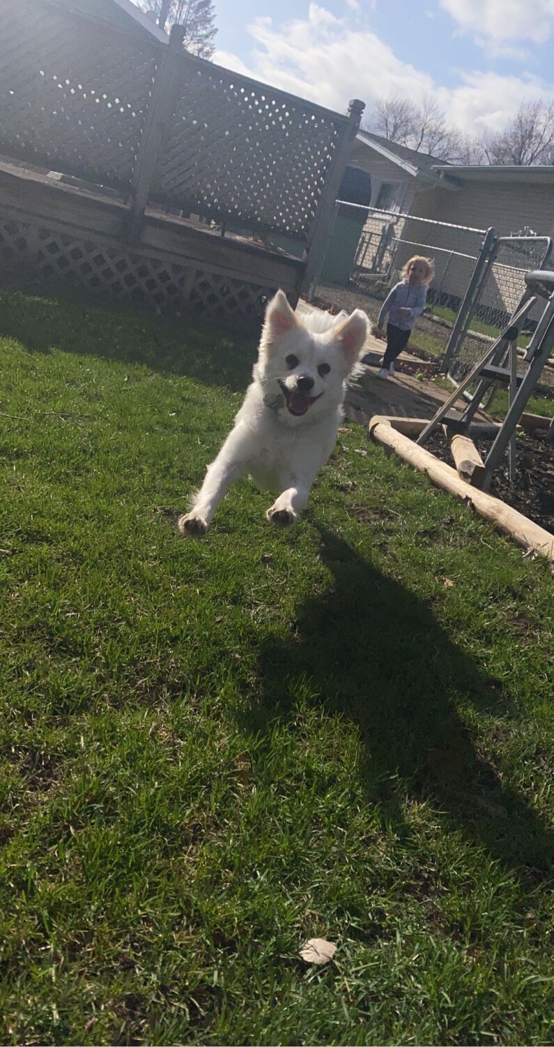 Ducati having a fun time