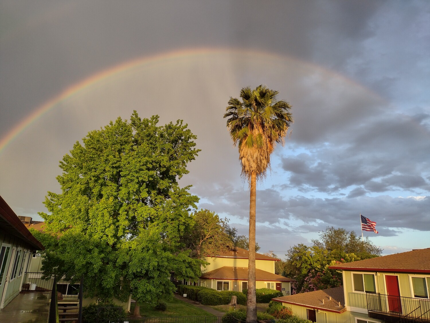 Redding Rainbow 🌎