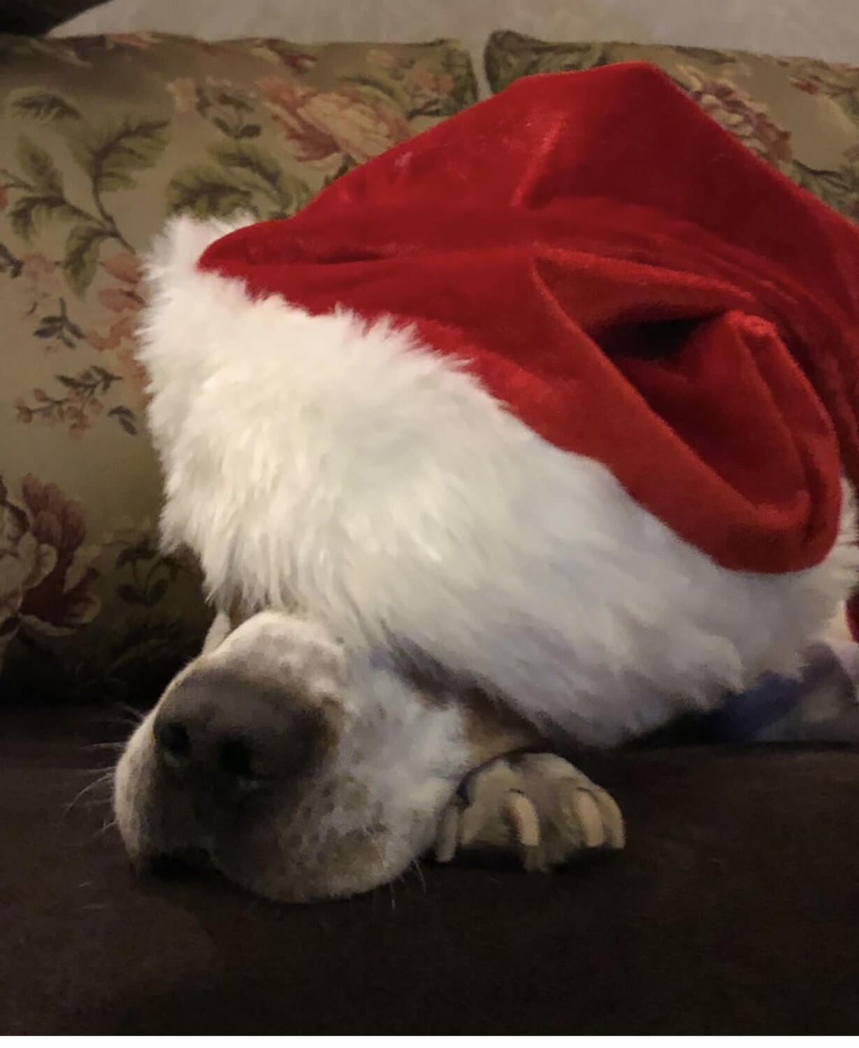 Troy my secret Santa