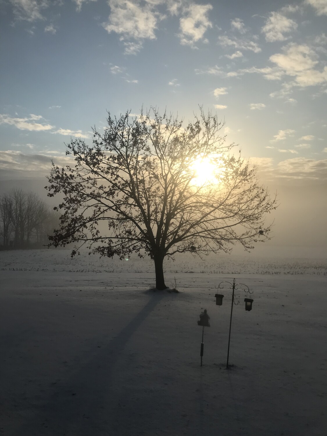 Calm after the storm.