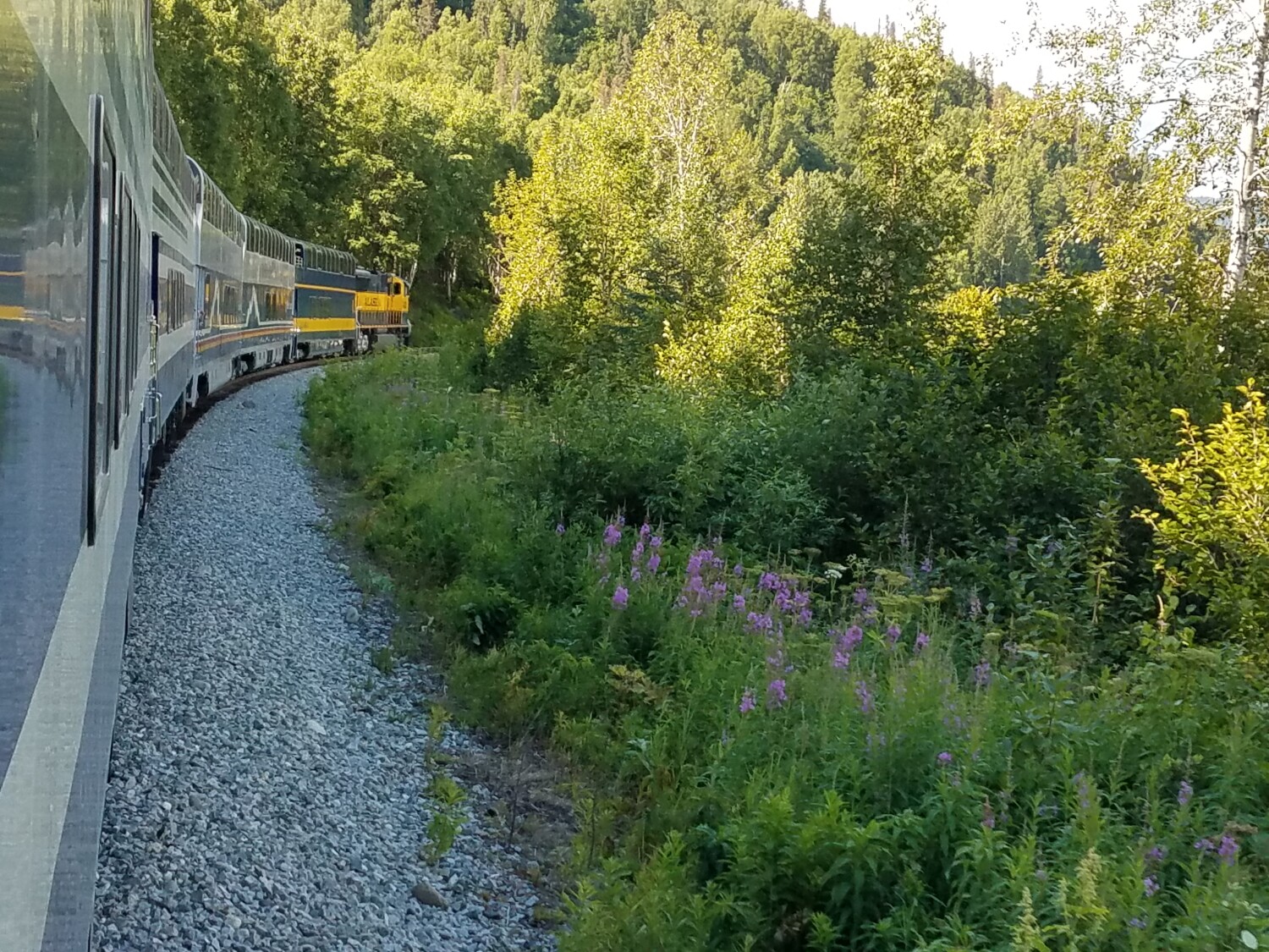 Alaskan train