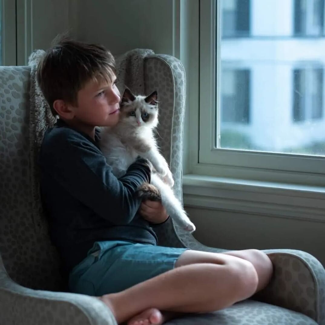 Saturdays are for the Cats