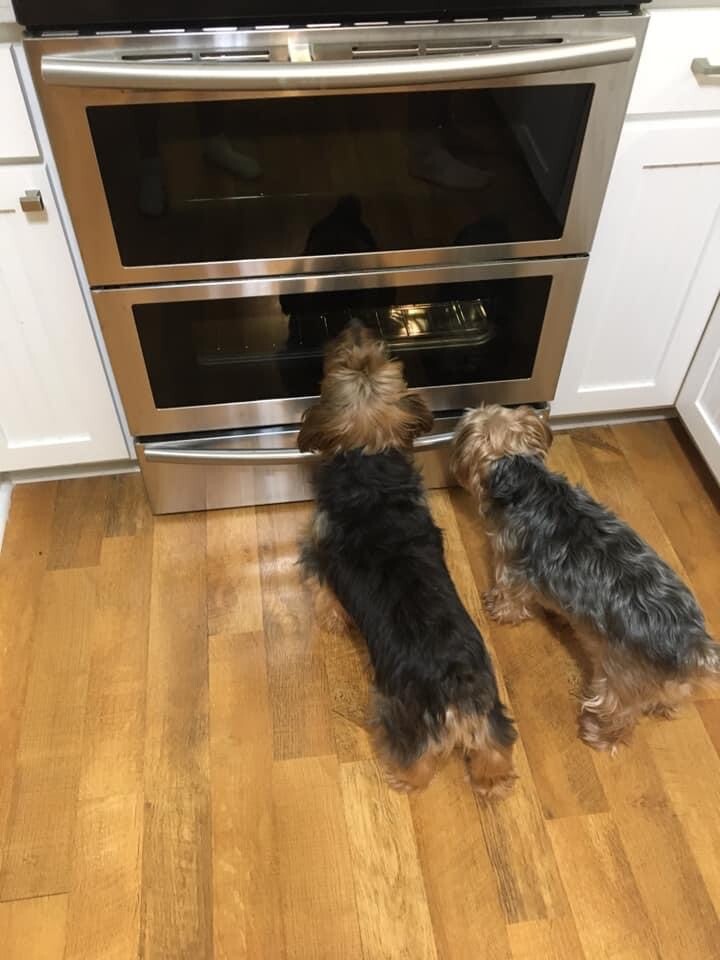 Waiting on cookies