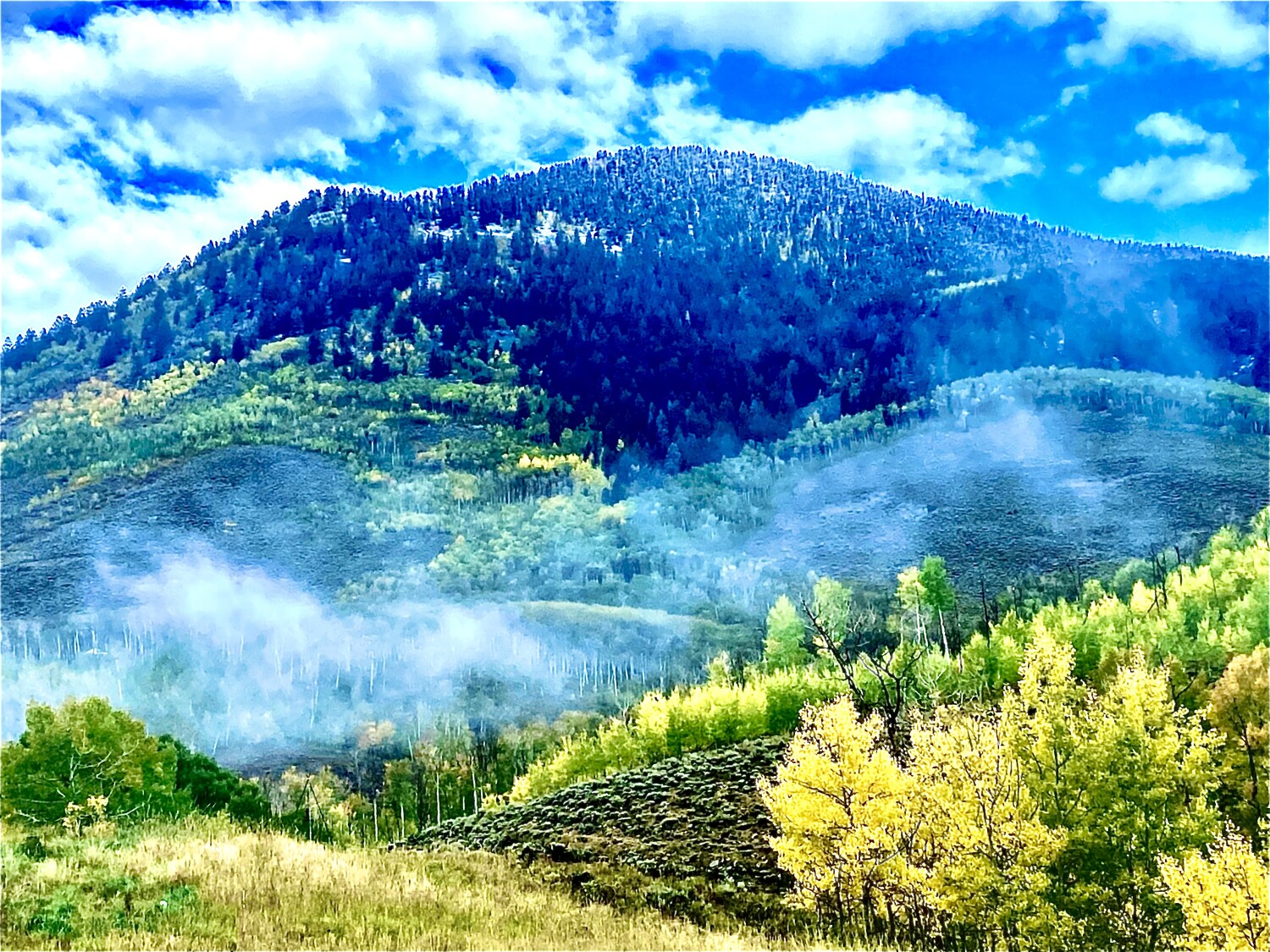 Fall morning