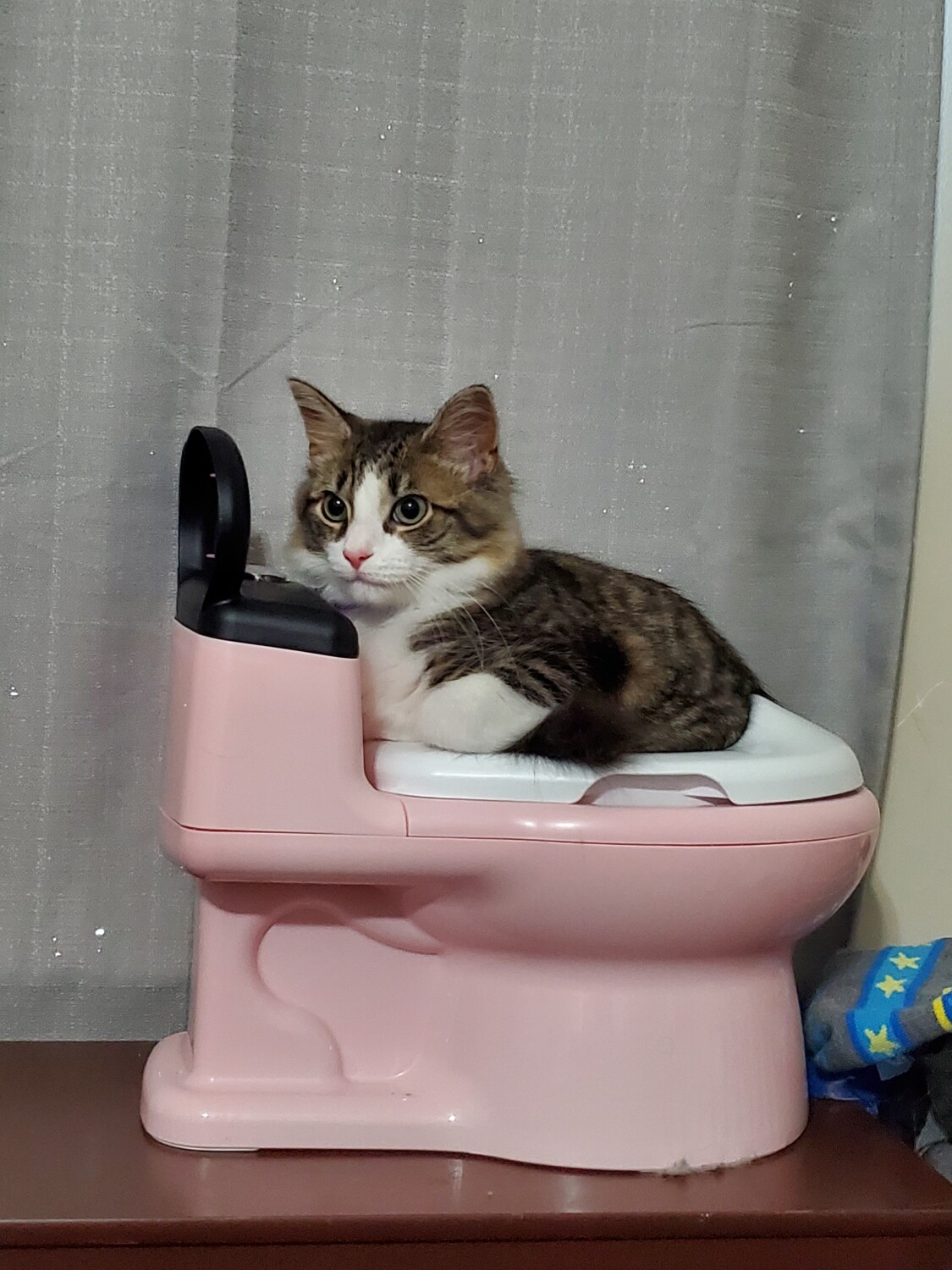 Potty Time!