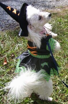 Angel and her Halloween costume