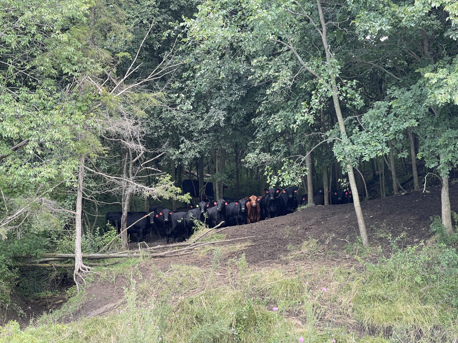 Be the One That Stands Out