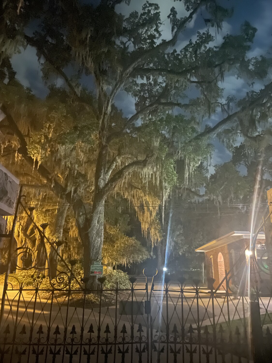 Eerie Nights in Savannah