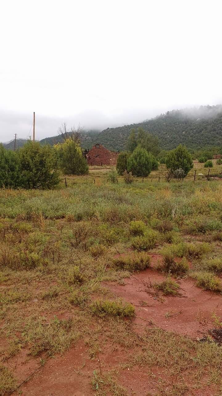 The Land of Enchantment