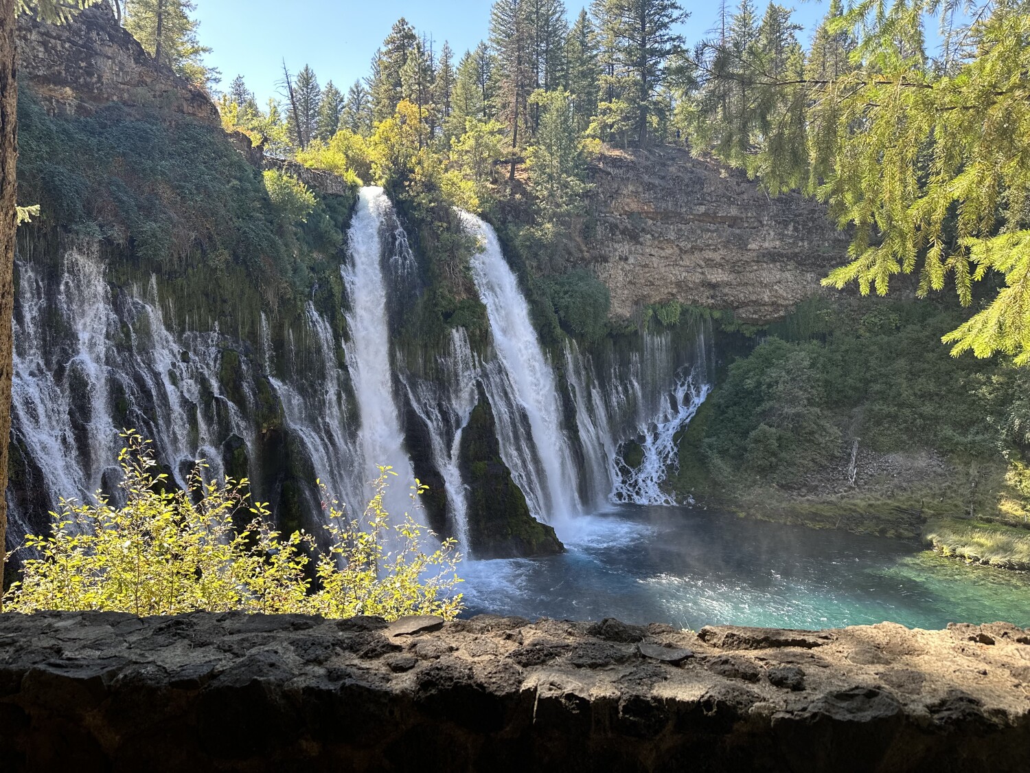 McArthur- Burney falls Memorial State Parks