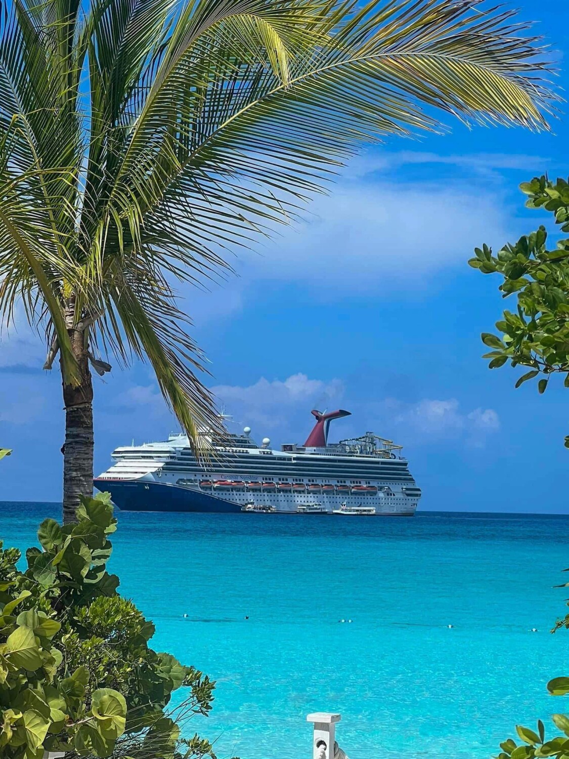 Cruising on the carnival