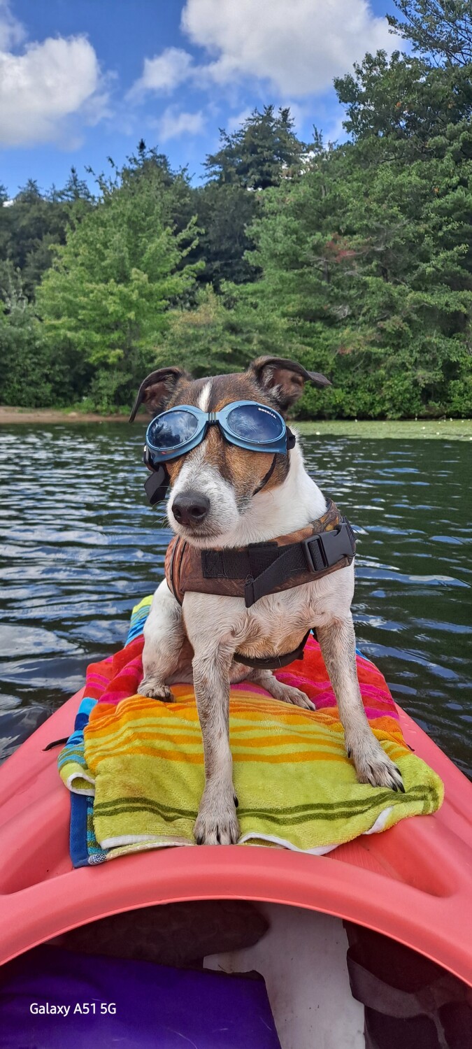 Lake fun with the boy