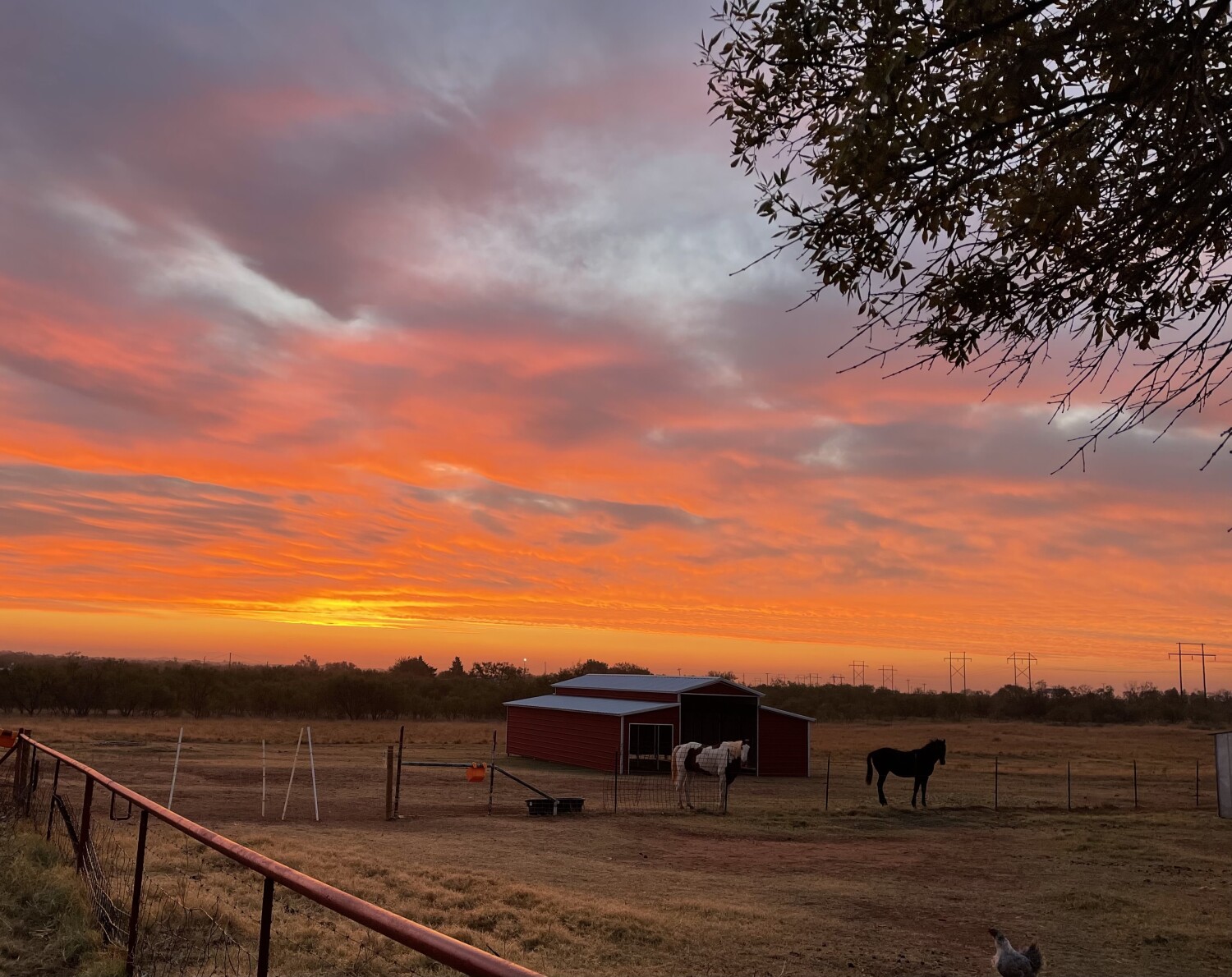 The Sunrise of Texas