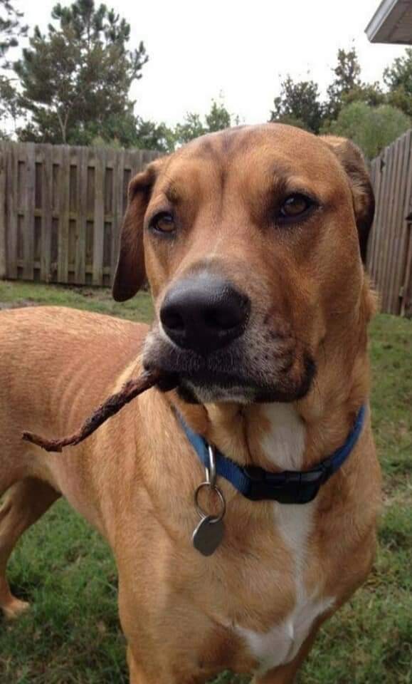 Come on baby light my fire