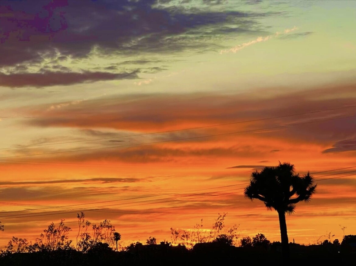 Desert 🏜️ Sunset