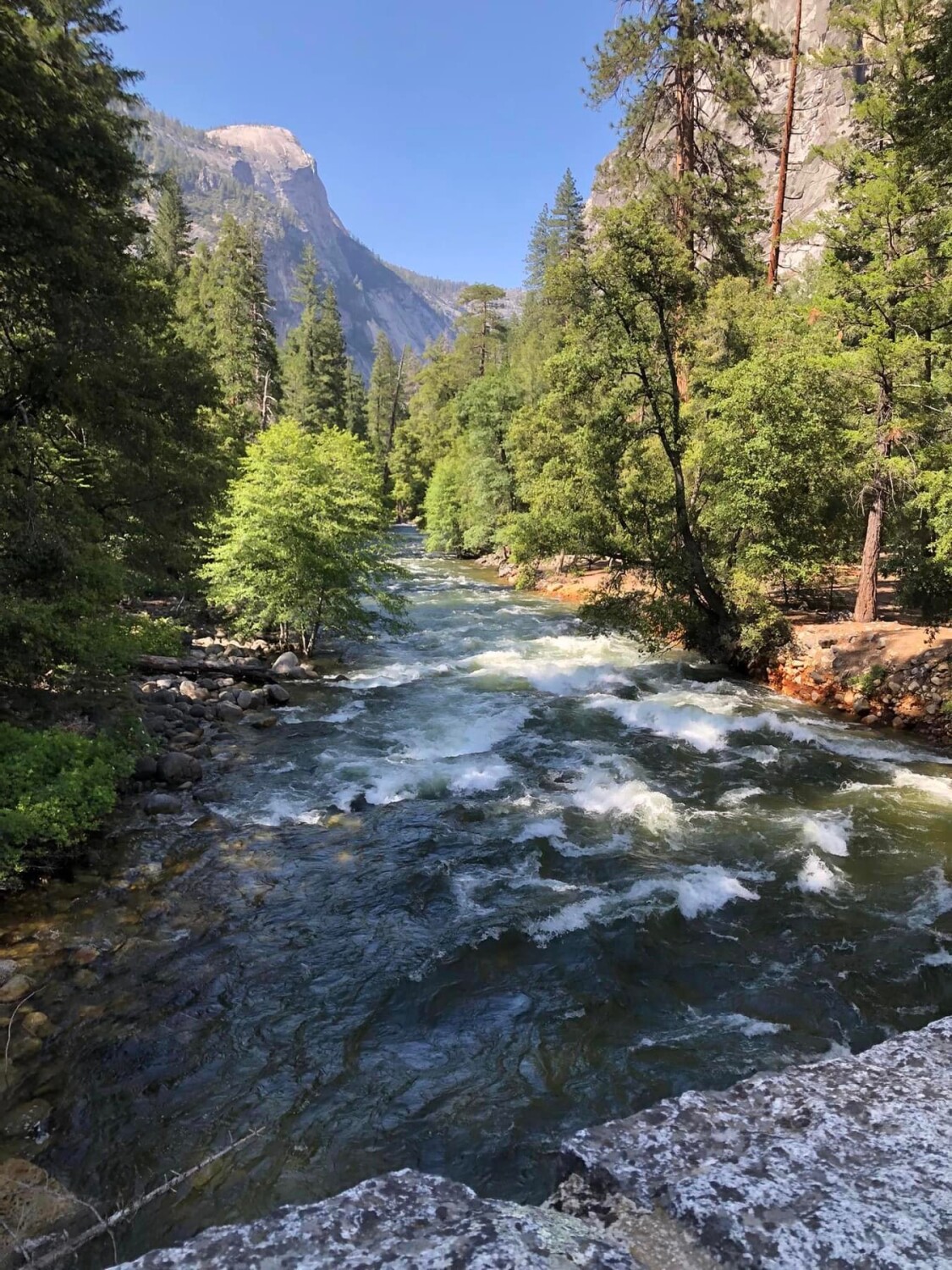 Summer in Yosemite