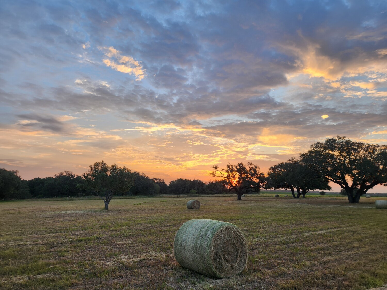 Sunset at the Ranch