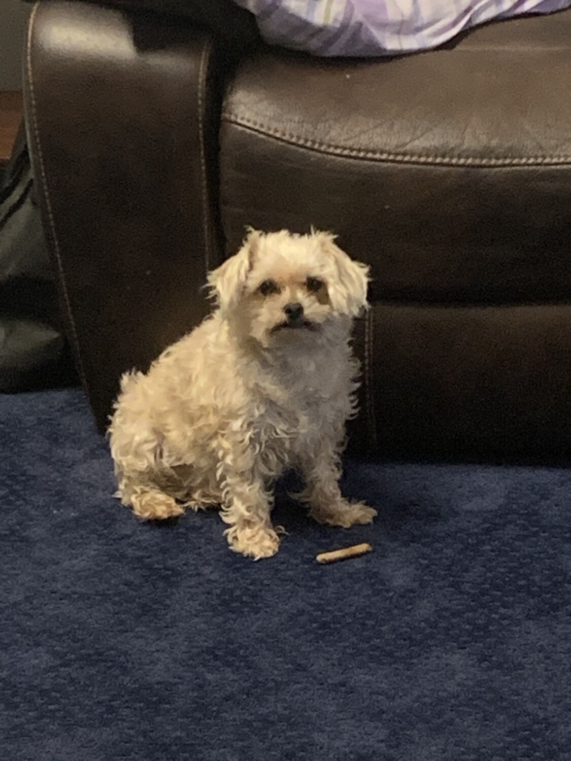 Roscoe pico train oh