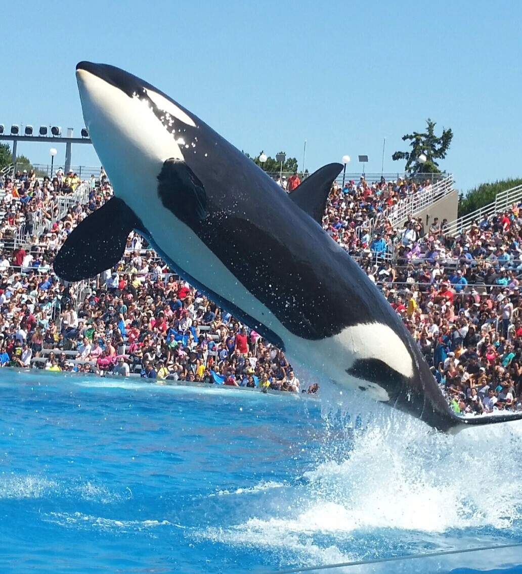 Having a Whale of a time!!